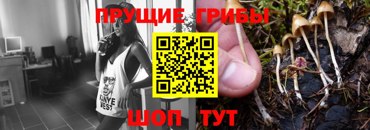Галлюциногенные грибы мухоморы  Псилоцибиновые грибы Psilocybe  Вход с VPN  цена наркотик  Майский 